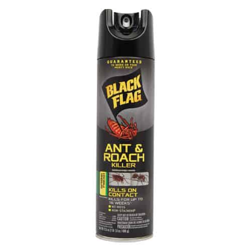 Insect Spray Diversion Safe - Image 2